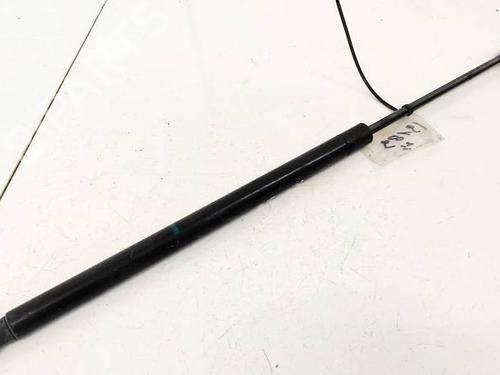 tailgate-lift-support-renault-grand-scenic-ii-jm01_-2004-2005-2006-2007-2008-2009-35278992 main image