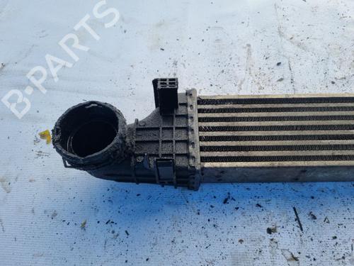 Intercooler MERCEDES-BENZ E-CLASS (W211) E 200 CDI (211.004) | BP34983111M30 - Image 2