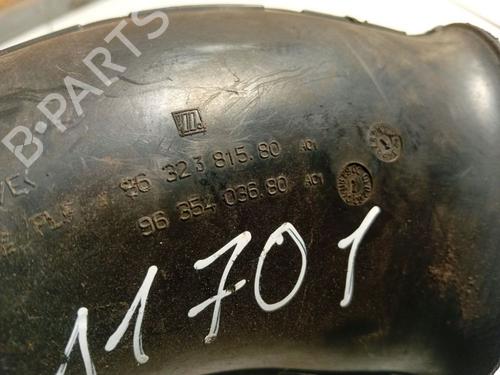 Pipe PEUGEOT 607 (9D, 9U) 2.2 16V | BP38791570M125 - Image 4