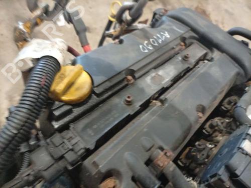 Tændspole Tændspole OPEL CORSA D (S07) 1.2 (L08, L68) (80 hp) 36658846 36658846