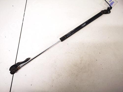 tailgate-lift-support-toyota-yaris-_p1_-1999-2000-2001-2002-2003-2004-2005-35561457 main image