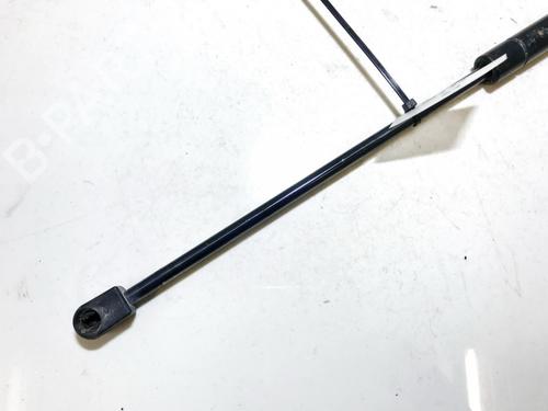 Tailgate lift support FORD C-MAX (DM2) 1.6 TDCi | BP35598380C138 - Image 2