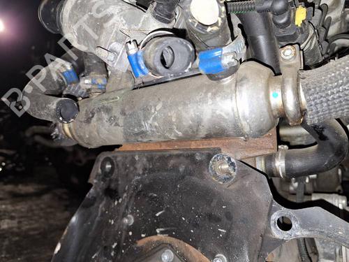Used Egr Egr 35127395 35127395