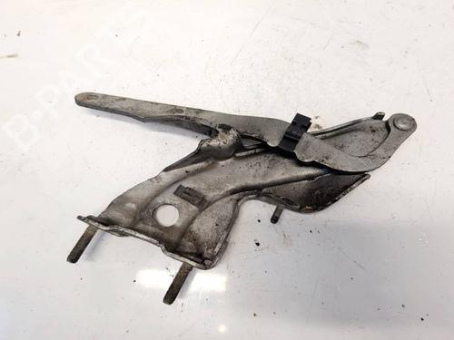 Used Hinge/Door check strap Hinge/Door check strap FIAT BRAVO II (198_) 1.9 D Multijet (198AXB1A) (120 hp) 36251880 36251880