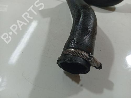 Pipe NISSAN PRIMERA Hatchback (P12) 1.9 dCi | BP32538702M125