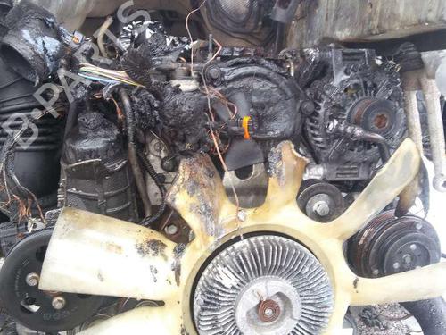- Image 5