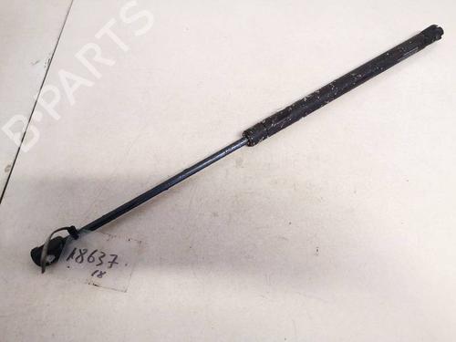 tailgate-lift-support-ford-focus-ii-da_-hcp-dp-2004-2005-2006-2007-2008-2009-2010-2011-2012-2013-35349480 main image