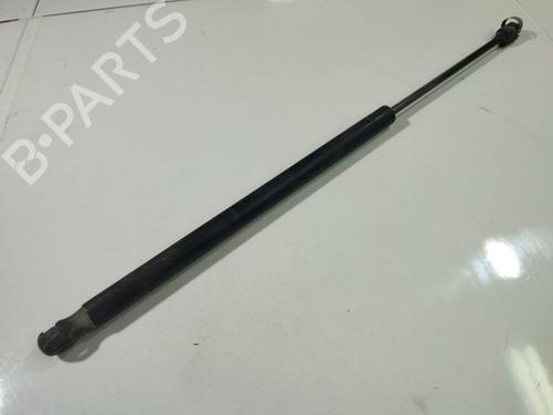 tailgate-lift-support-renault-scenic-ii-jm01_-2003-2004-2005-2006-2007-2008-2009-2010-34810248 main image