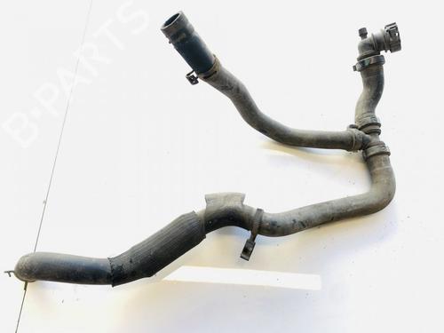 Used Pipe Pipe RENAULT LAGUNA III (BT0/1) 2.0 dCi GT (BT11, BT1E, BT1N) (178 hp) 32876803 32876803