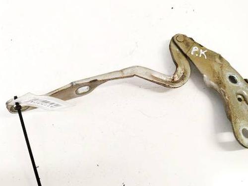 Used Hinge/Door check strap Hinge/Door check strap 38161171 38161171