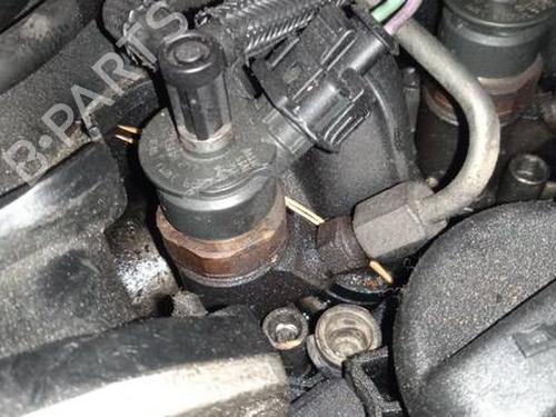 Used Injector Injector PEUGEOT 308 SW I (4E_, 4H_) 1.6 HDi (109 hp) 35194030 35194030