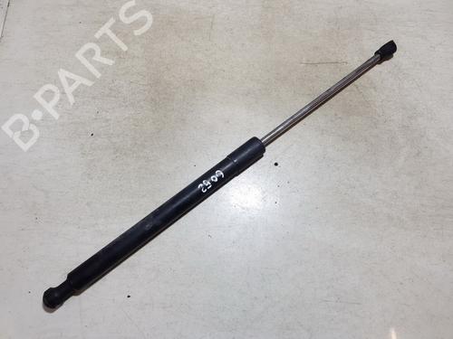 tailgate-lift-support-renault-clio-iii-br01-cr01-2005-2006-2007-2008-2009-2010-2011-2012-2013-2014-35631354 main image
