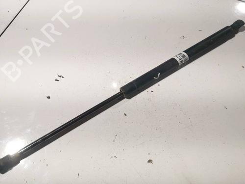 tailgate-lift-support-citroen-c4-picasso-i-mpv-ud_-2006-2007-2008-2009-2010-2011-2012-2013-2014-2015-34776233 main image