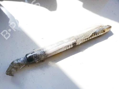 Used Tailgate lift support Tailgate lift support AUDI A4 B8 (8K2) 2.0 TDI (143 hp) 36284726 36284726