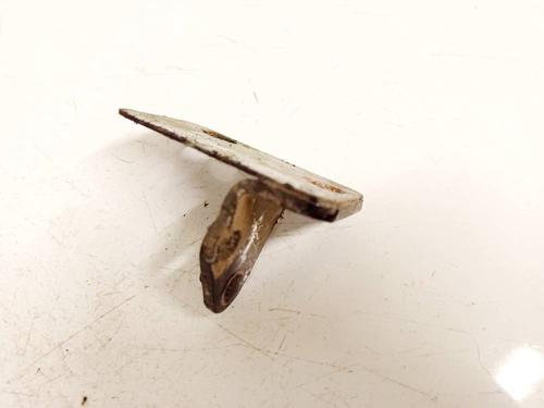 Hinge/Door check strap SUBARU OUTBACK (BR) 2.0 D AWD (BRD) | BP32544262C146