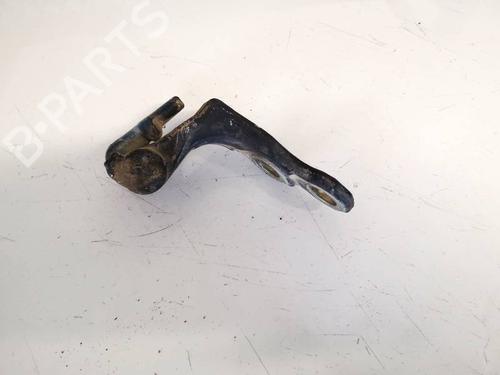 Hinge/Door check strap FORD FOCUS C-MAX (DM2) 1.6 TDCi | BP32590445C146