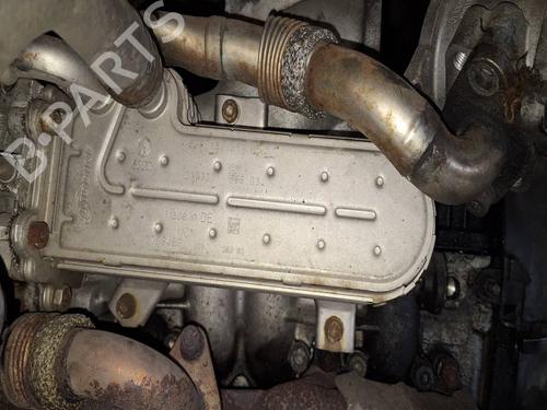 Used Egr Egr VW GOLF V (1K1) 1.9 TDI (105 hp) 39759151 39759151