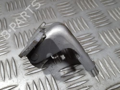 hingedoor-check-strap-renault-megane-iii-hatchback-bz01_-b3_-2008-33502040 main image