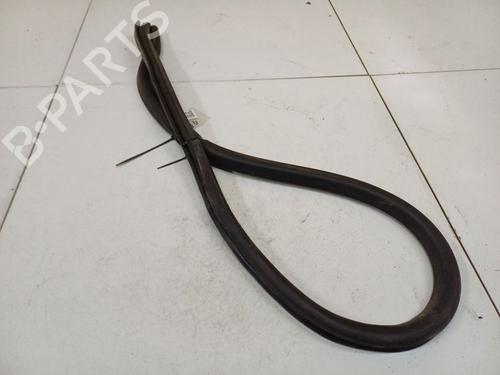 Gummiliste VW PASSAT CC B6 (357) 1.8 TSI | BP34798729C142 - Image 3