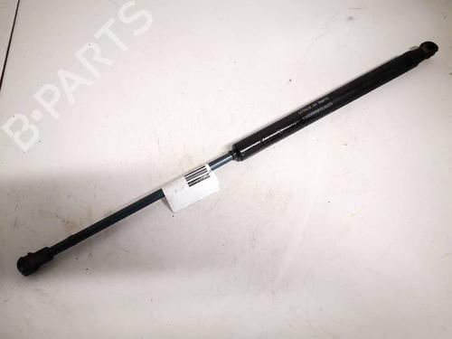 tailgate-lift-support-fiat-punto-evo-199_-2008-35146736 main image
