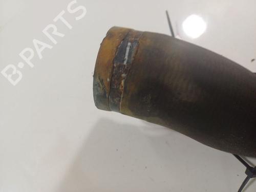 Pipe FIAT DOBLO Cargo (263_) 2.0 D Multijet | BP32546717M125