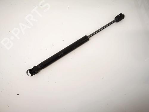 tailgate-lift-support-chrysler-300c-touring-lx-le-2004-2005-2006-2007-2008-2009-2010-35495497 main image