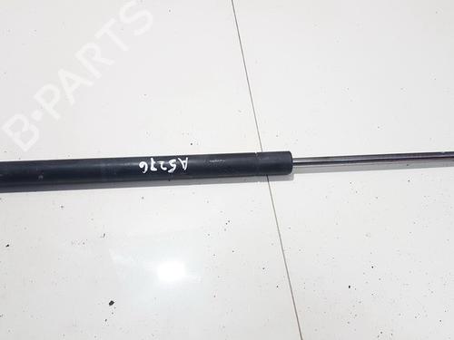 tailgate-lift-support-renault-scenic-ii-jm01_-2003-2004-2005-2006-2007-2008-2009-2010-35868810 main image