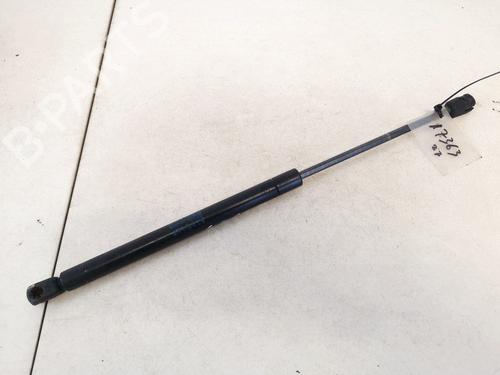 tailgate-lift-support-ford-focus-i-daw-dbw-1998-1999-2000-2001-2002-2003-2004-2005-2006-2007-2008-2009-35454606 main image
