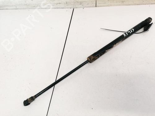 tailgate-lift-support-nissan-primera-hatchback-p12-2002-35452568 main image