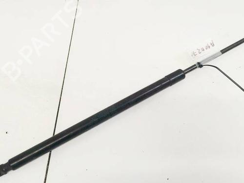 tailgate-lift-support-honda-cr-v-iii-re_-2006-35110099 main image