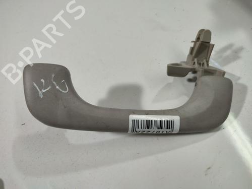 interior-roof-handle-renault-scenic-ii-jm01_-2003-2004-2005-2006-2007-2008-2009-2010-34800032 main image