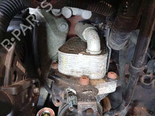 Used Oil radiator Oil radiator FORD S-MAX (WA6) 2.2 TDCi (175 hp) 39757743 39757743