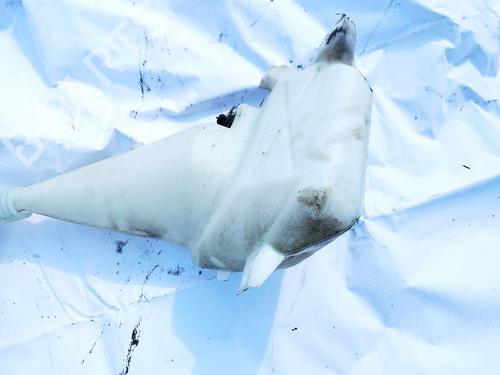 Windscreen washer tank TESLA MODEL S (5YJS) 75 | BP35831268C113 - Image 2