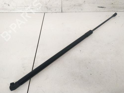 tailgate-lift-support-opel-antara-a-l07-2006-2007-2008-2009-2010-2011-2012-2013-2014-2015-2016-2017-35426822 main image