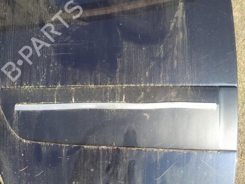 Gummiliste Gummiliste RENAULT ESPACE IV (JK0/1_) 2.2 dCi (JK0H) (150 hp) 35410413 35410413