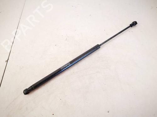 tailgate-lift-support-ford-focus-iii-2010-2011-2012-2013-2014-2015-2016-2017-2018-2019-2020-35329111 main image