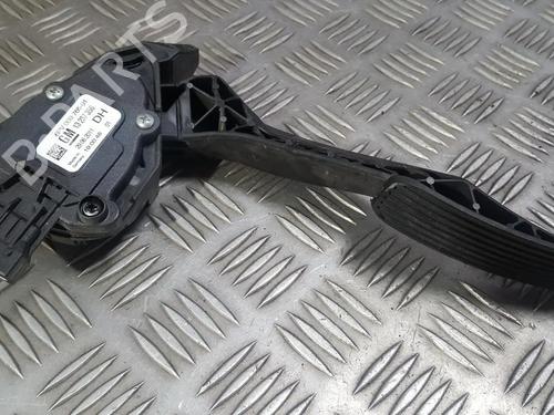 Used Pedal Pedal OPEL INSIGNIA A (G09) 2.0 CDTI (68) (160 hp) 35690578 35690578