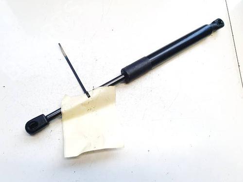 Tailgate lift support TESLA MODEL 3 (5YJ3) EV AWD | BP40287385C138 - Image 3