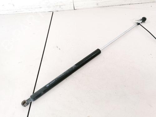 tailgate-lift-support-renault-laguna-ii-bg01_-2001-2002-2003-2004-2005-2006-2007-35502030 main image