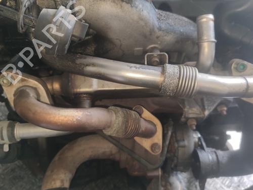 Used Egr Egr 35620856 35620856