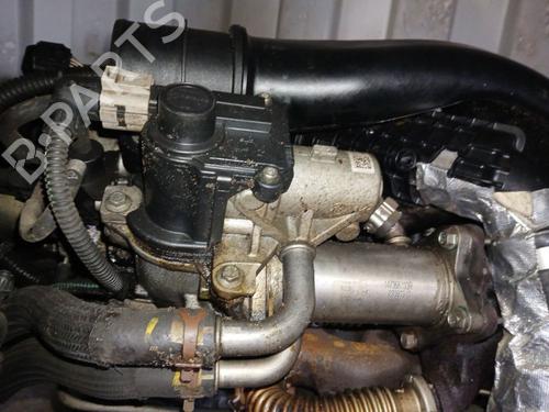 Egr Egr 37456295 37456295