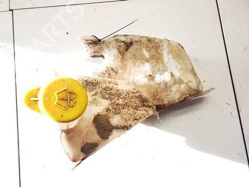 windscreen-washer-tank-opel-zafira-a-mpv-t98-1999-2000-2001-2002-2003-2004-2005-2006-34839554 main image