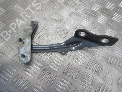 hingedoor-check-strap-ford-focus-ii-da_-hcp-dp-2004-2005-2006-2007-2008-2009-2010-2011-2012-2013-35685171 main image