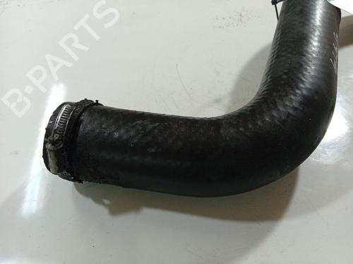 Pipe ROVER 75 (RJ) 2.0 CDT | BP32531079M125