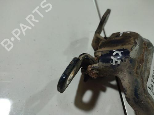 Hinge/Door check strap DACIA LOGAN (LS_) 1.5 dCi (LS04) | BP32554788C146