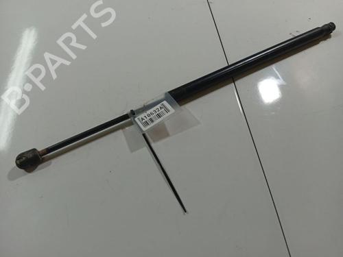 tailgate-lift-support-renault-scenic-ii-jm01_-2003-2004-2005-2006-2007-2008-2009-2010-34904217 main image