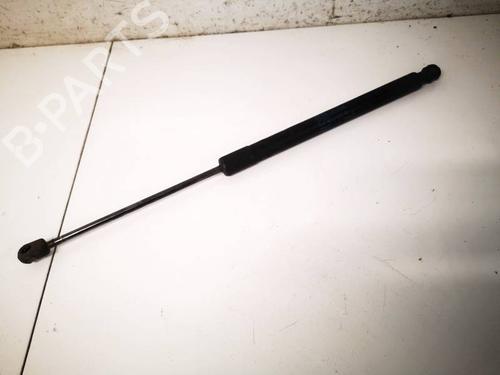 tailgate-lift-support-toyota-rav-4-iii-_a3_-2005-2006-2007-2008-2009-2010-2011-2012-2013-2014-34833932 main image