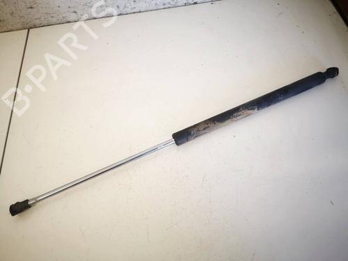tailgate-lift-support-renault-laguna-ii-bg01_-2001-2002-2003-2004-2005-2006-2007-34795386 main image