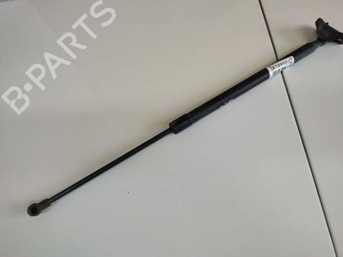 tailgate-lift-support-renault-scenic-iii-jz01_-2008-2009-2010-2011-2012-2013-2014-2015-2016-34752796 main image