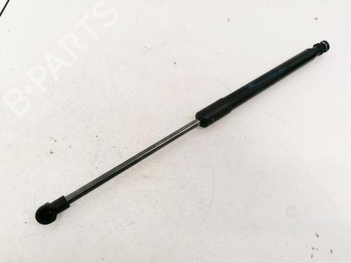tailgate-lift-support-renault-twingo-ii-cn0_-2007-35431786 main image